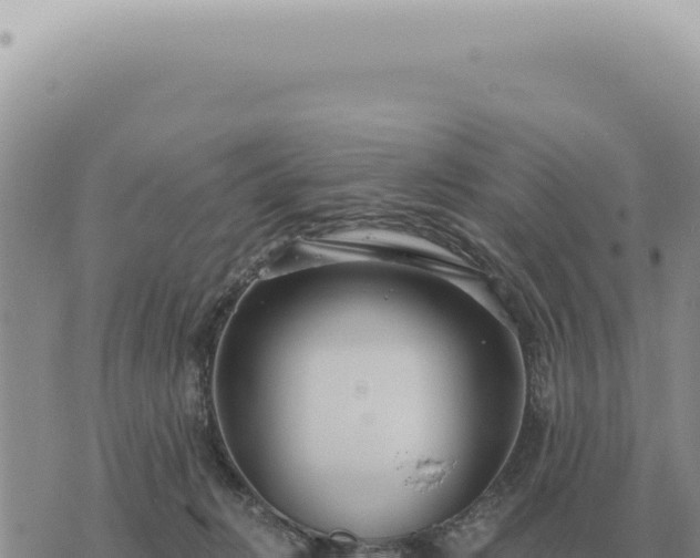 X0000073720270200608101911