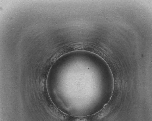 X0000073720271200608101911