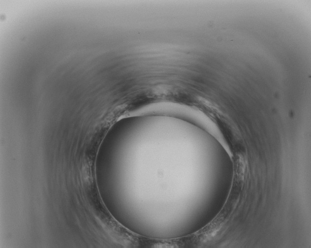 X0000073720272200608101911