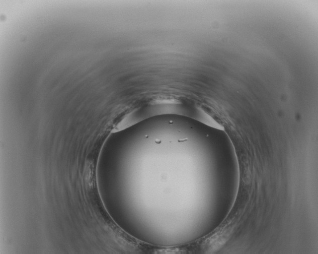 X0000073720273200608101911