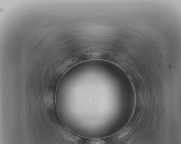 X0000073720274200608101911