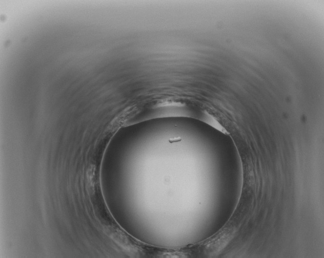 X0000073720275200608101911