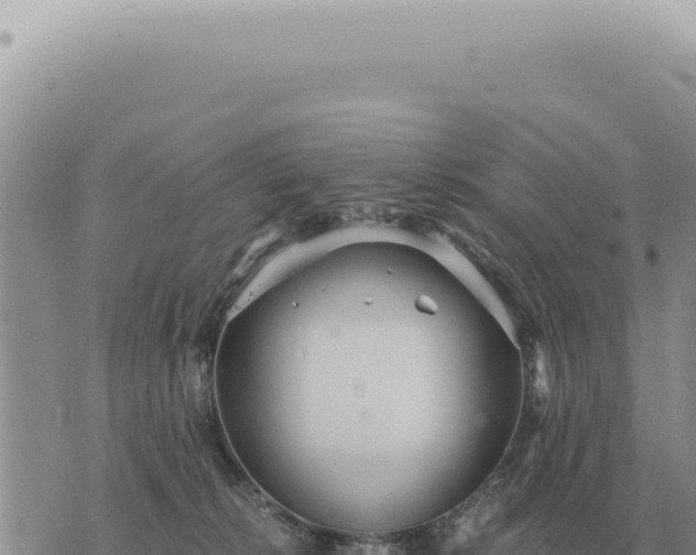 X0000073720276200608101911