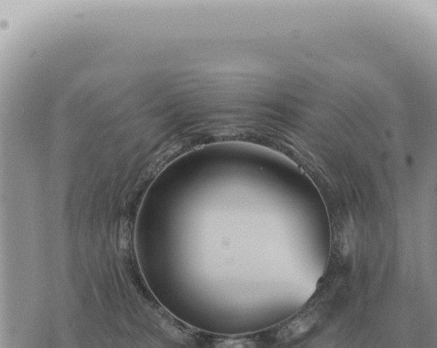 X0000073720277200608101911