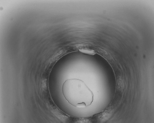 X0000073720278200608101911