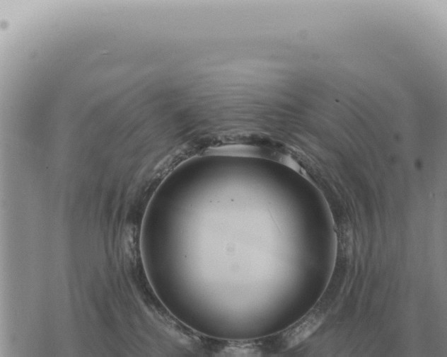 X0000073720280200608101912