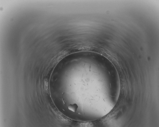 X0000073720281200608101912