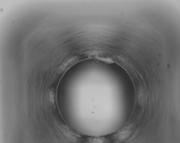 X0000073720282200608101912