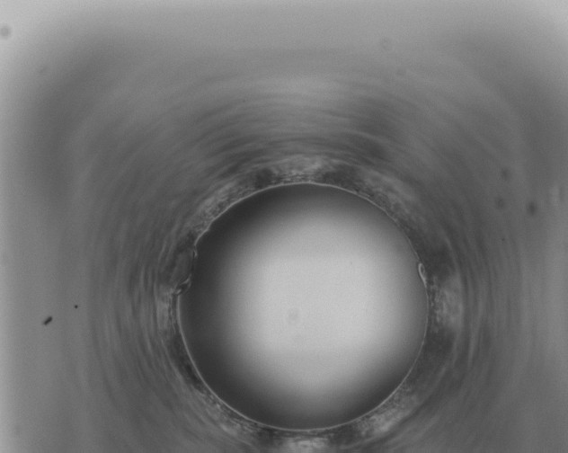 X0000073720283200608101912