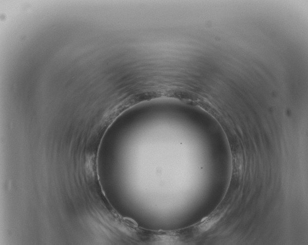 X0000073720286200608101912