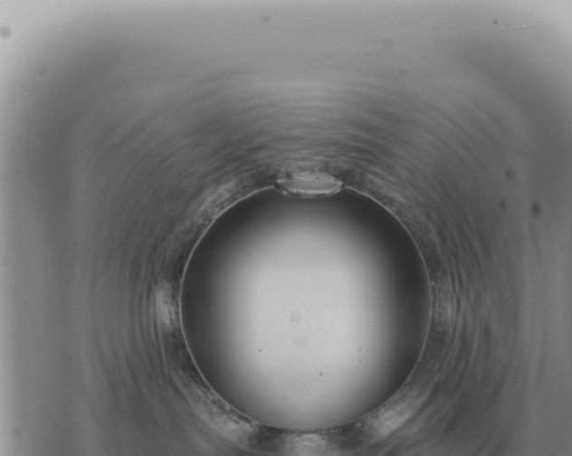 X0000073720287200608101912