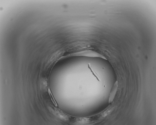 X0000073720288200608101912