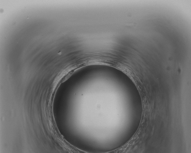 X0000073720289200608101911