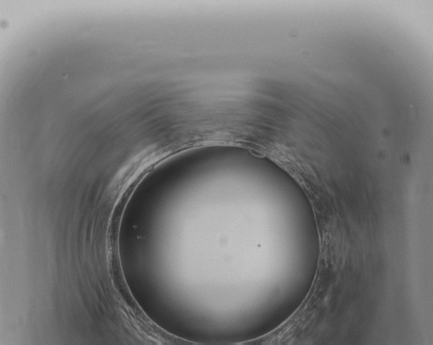 X0000073720290200608101911