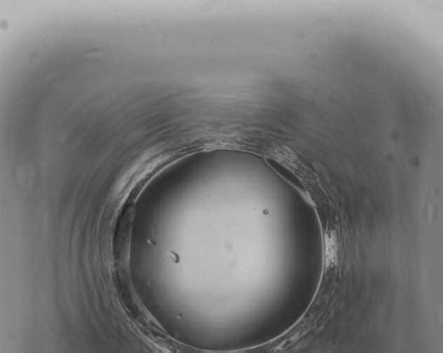 X0000073720291200608101911