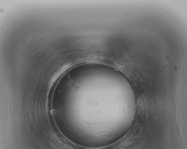 X0000073720292200608101911