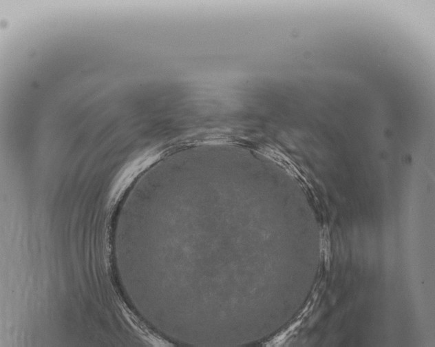 X0000073720293200608101911