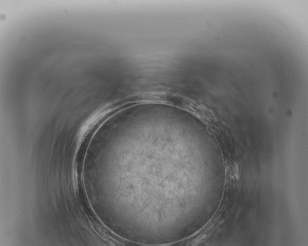 X0000073720294200608101911