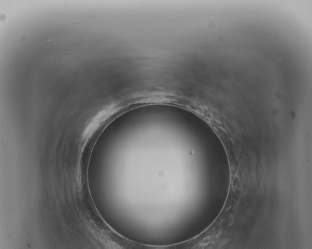 X0000073720296200608101911