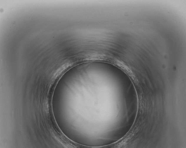 X0000073720298200608101911