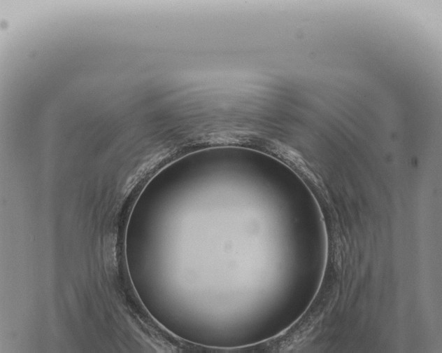 X0000073720299200608101911