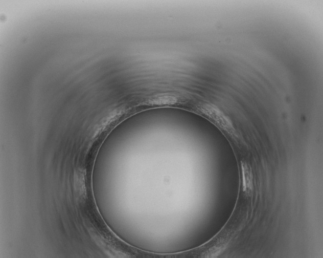 X0000073720300200608101911