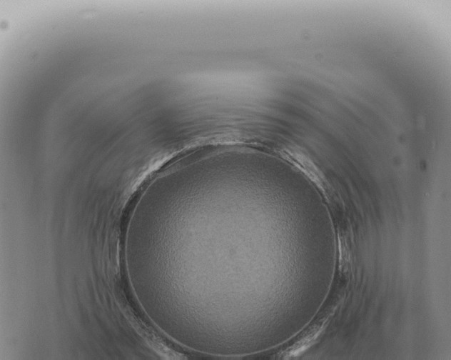 X0000073720301200608101911