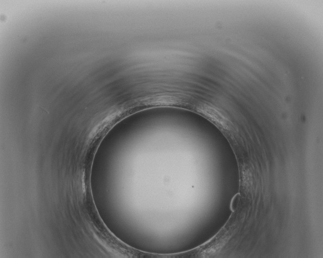 X0000073720302200608101911