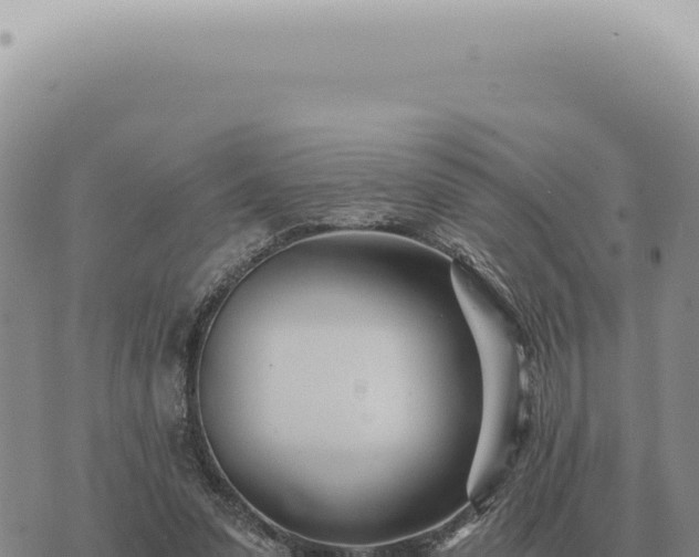 X0000073720303200608101911