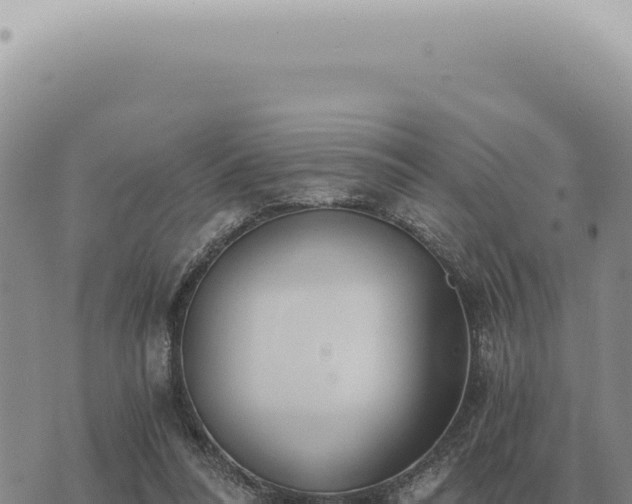 X0000073720304200608101911