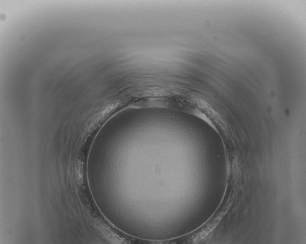 X0000073720305200608101911