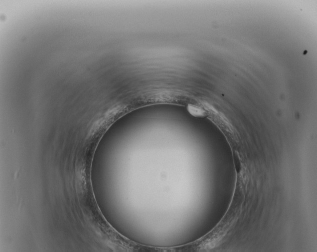 X0000073720306200608101911