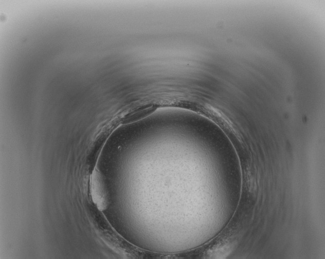 X0000073720307200608101911