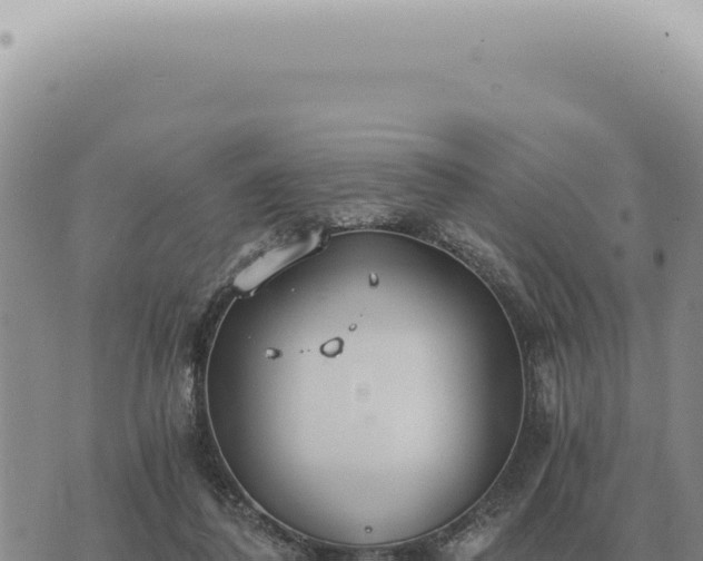 X0000073720308200608101911