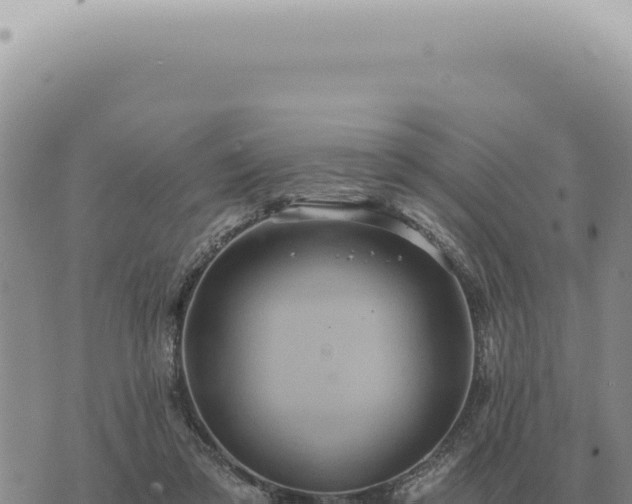 X0000073720309200608101911