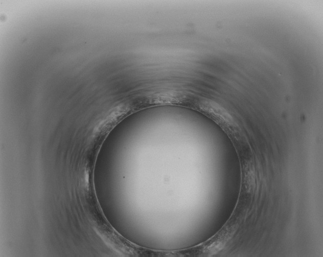 X0000073720310200608101911