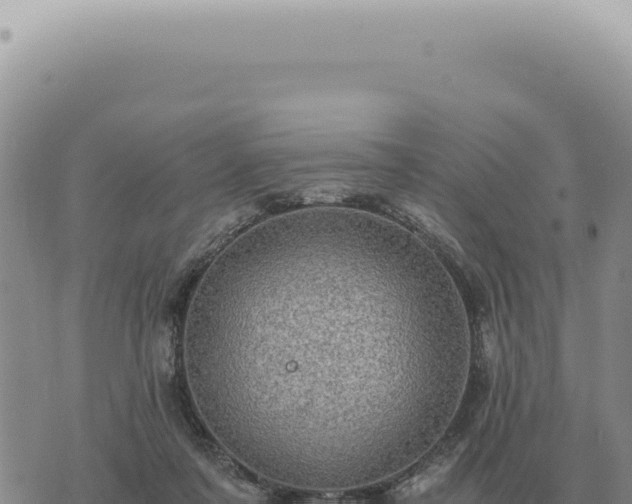 X0000073720311200608101910