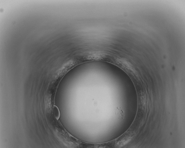 X0000073720312200608101910