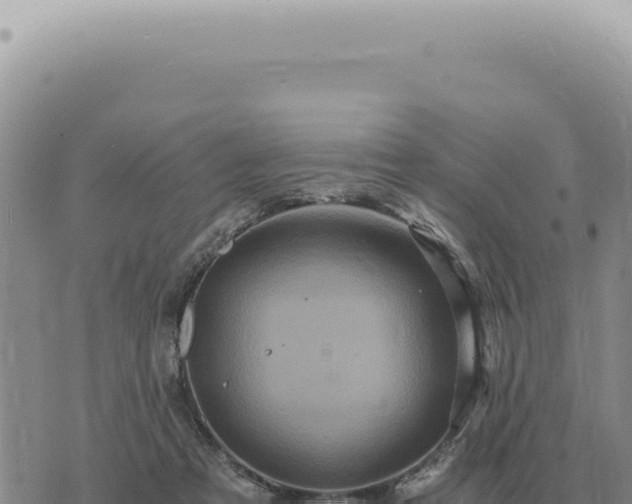 X0000073720313200608101910