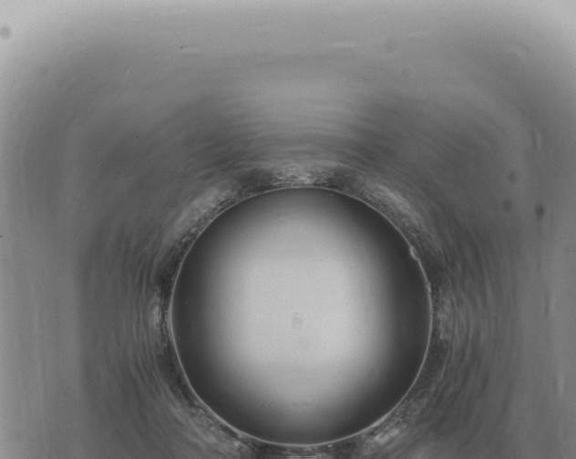 X0000073720314200608101910