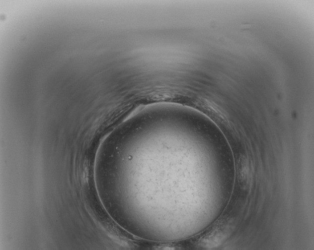 X0000073720315200608101910