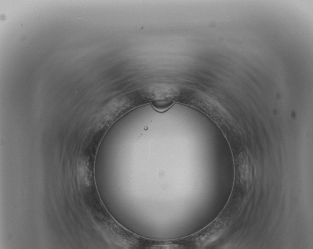 X0000073720316200608101910