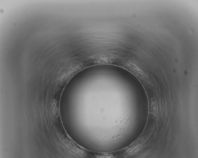 X0000073720318200608101910