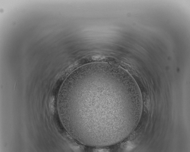 X0000073720319200608101910