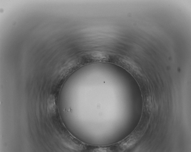 X0000073720320200608101910