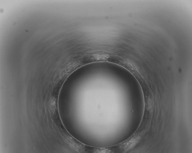 X0000073720321200608101910