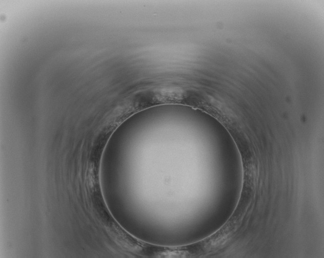 X0000073720323200608101910