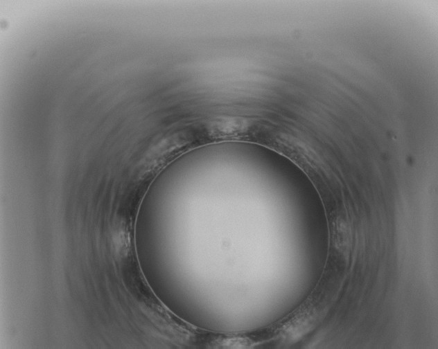 X0000073720324200608101910