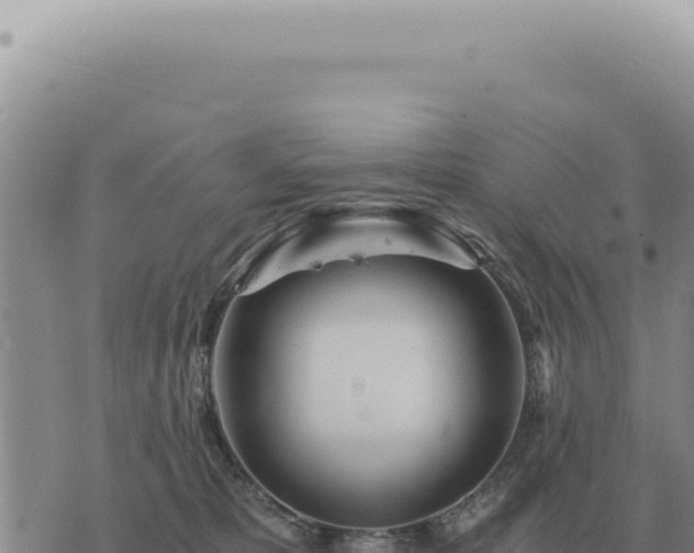 X0000073720325200608101910