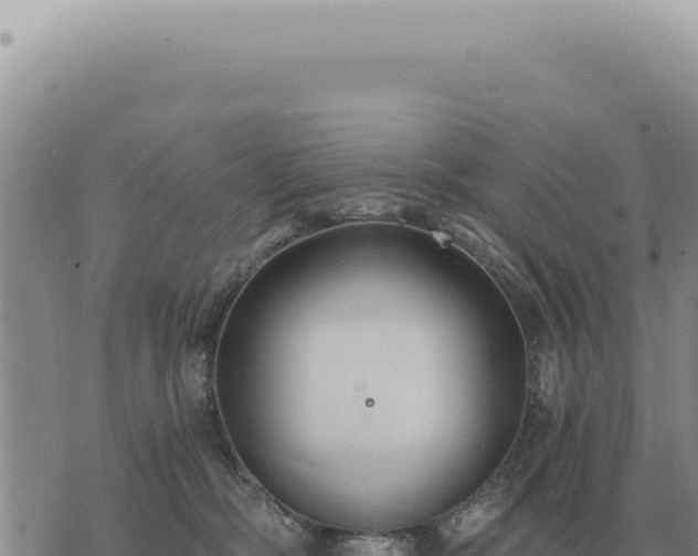 X0000073720326200608101910